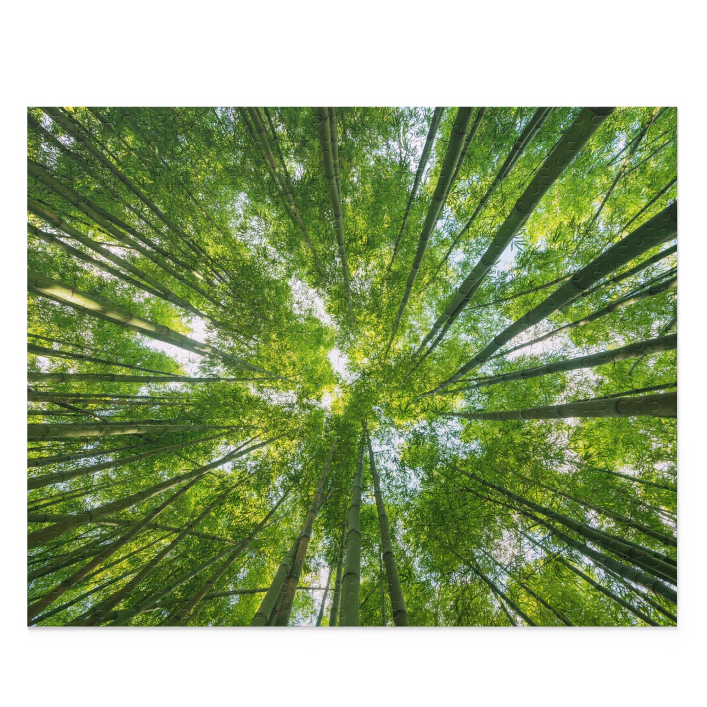 Tranquil Bamboo Forest Puzzle - 120/252/500-Piece Options
