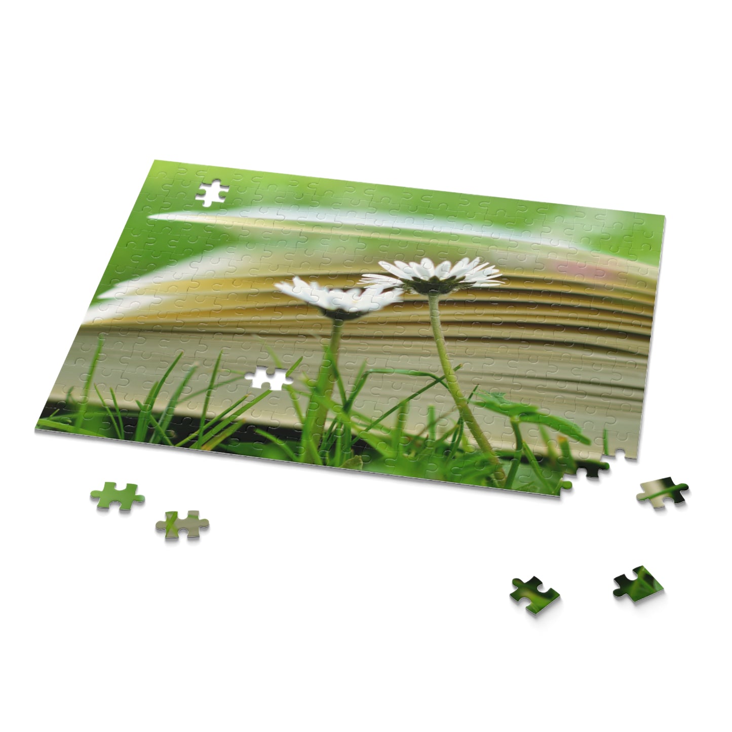 Nature-Inspired 500-Piece Puzzle – Cozy Reading Vibes with Daisies