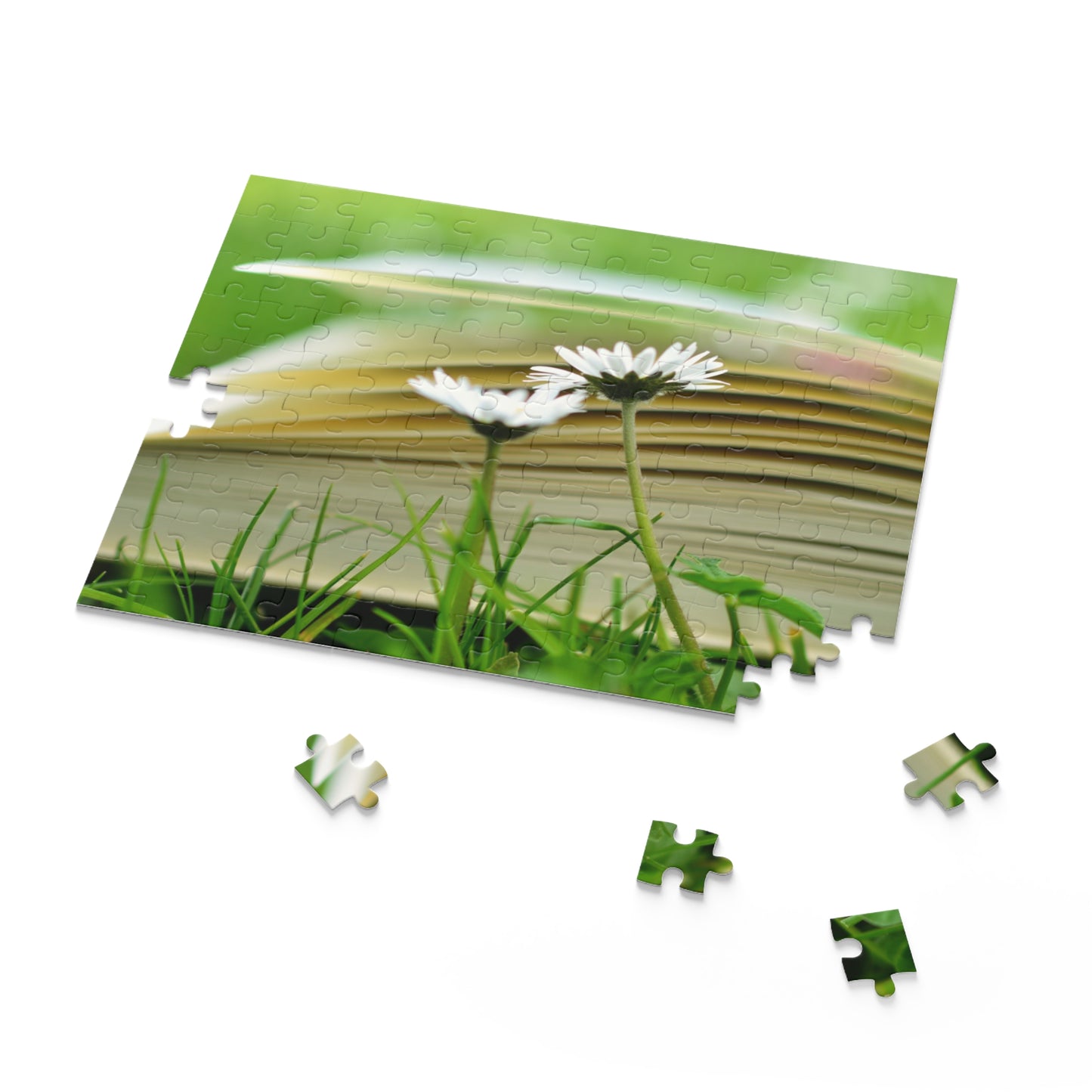 Nature-Inspired 500-Piece Puzzle – Cozy Reading Vibes with Daisies