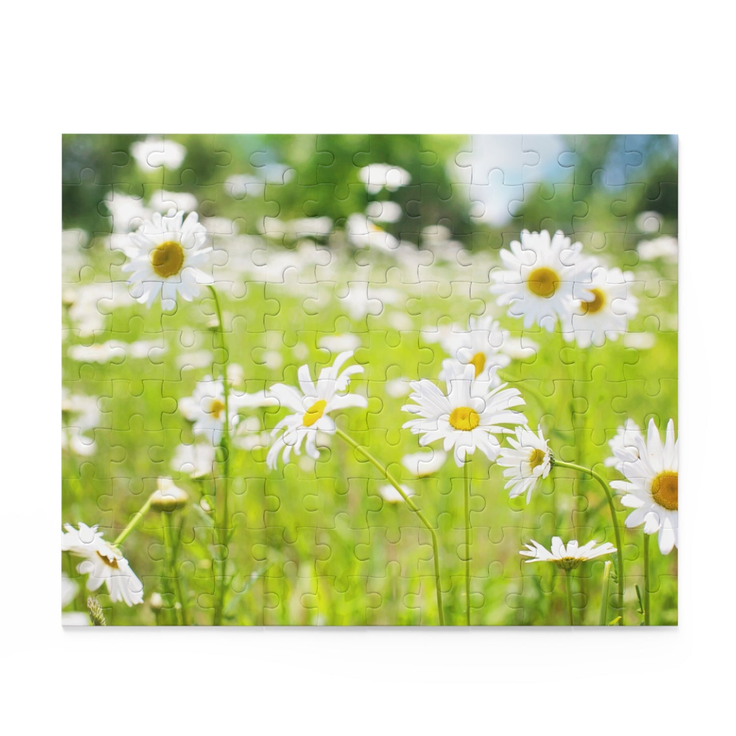 Daisy Meadow Puzzle - 120, 252, 500-Piece Options