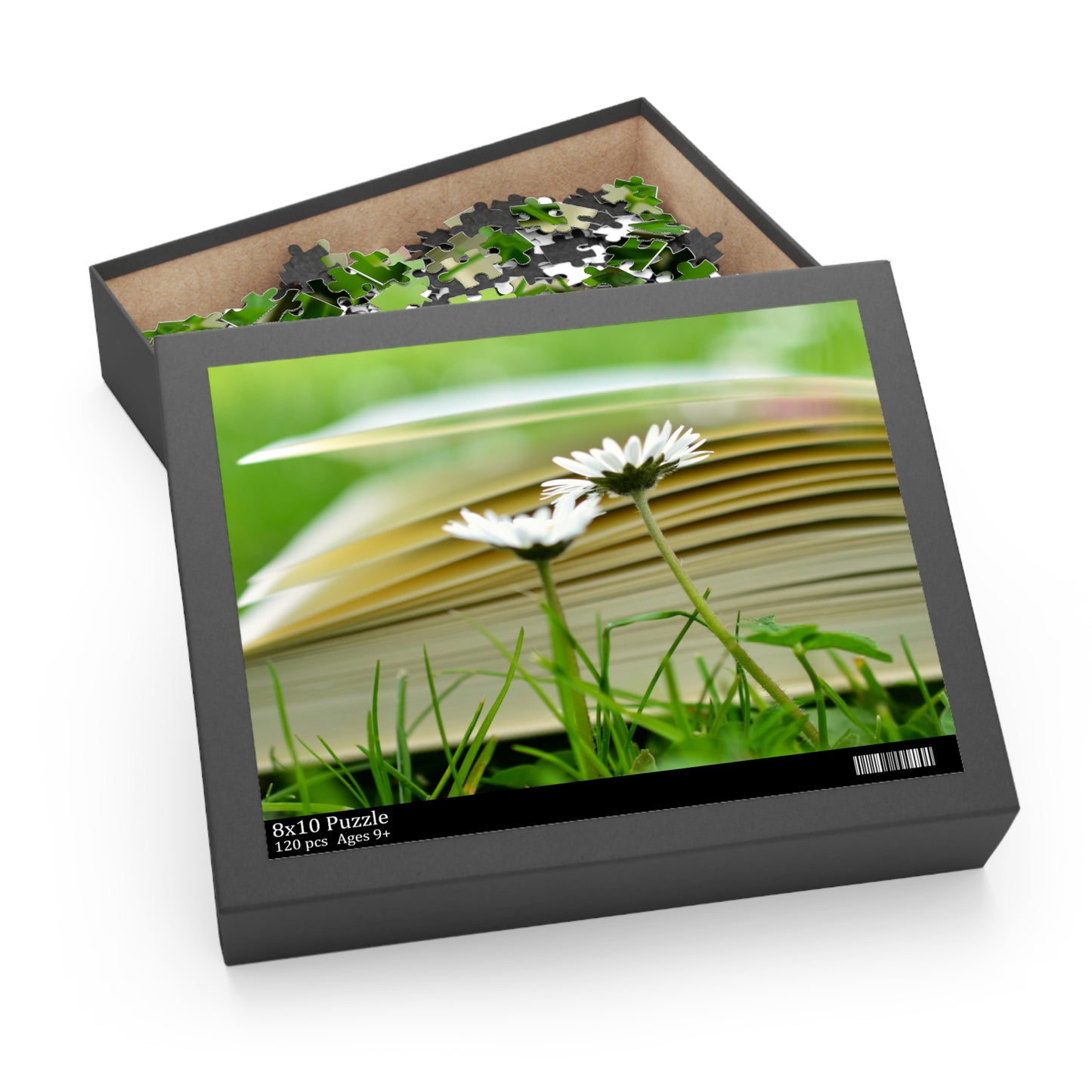 Nature-Inspired 500-Piece Puzzle – Cozy Reading Vibes with Daisies