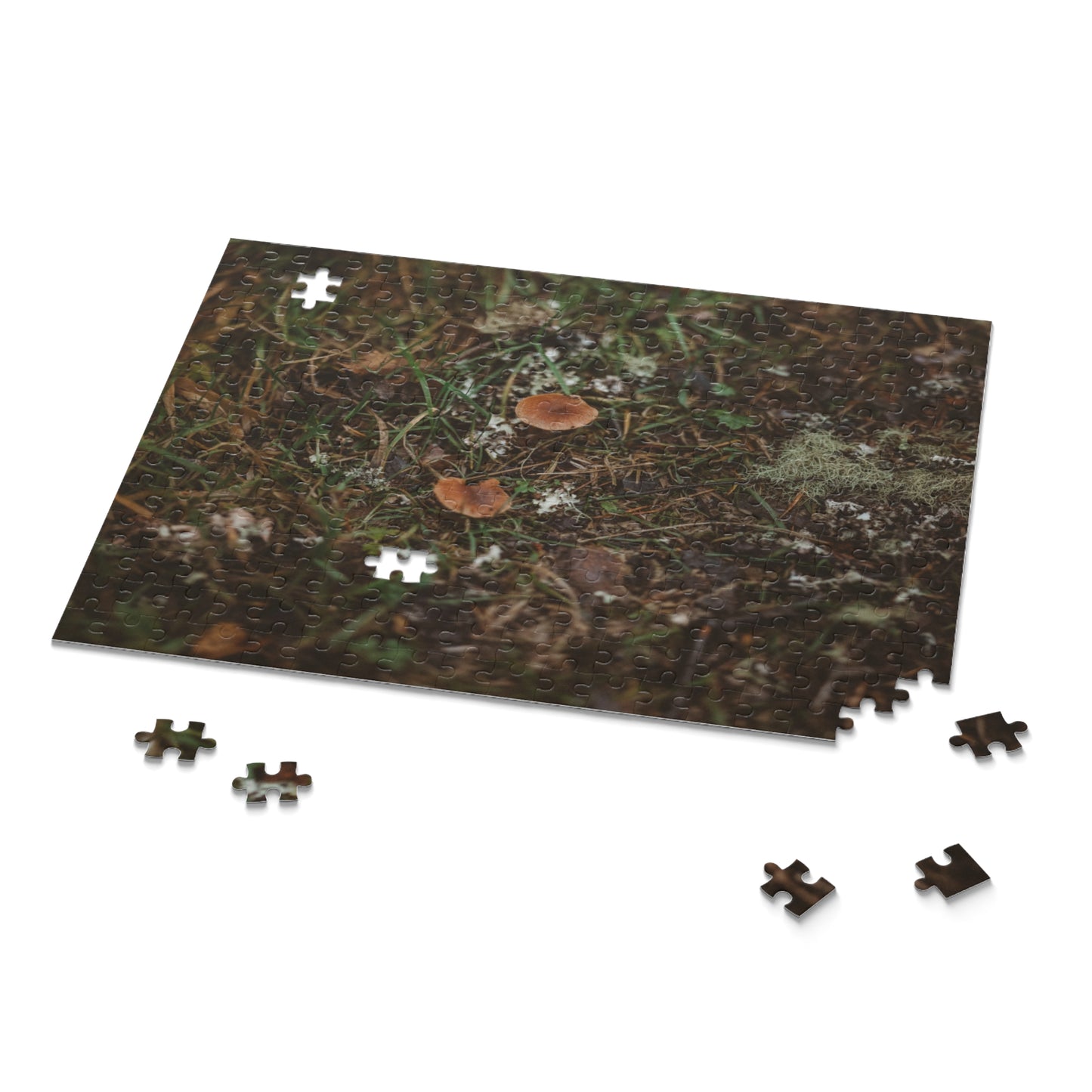 Nature-Inspired Mushroom Puzzle - 120, 252, 500 Pieces
