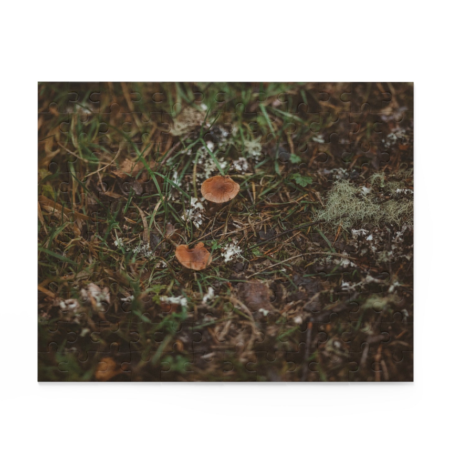Nature-Inspired Mushroom Puzzle - 120, 252, 500 Pieces