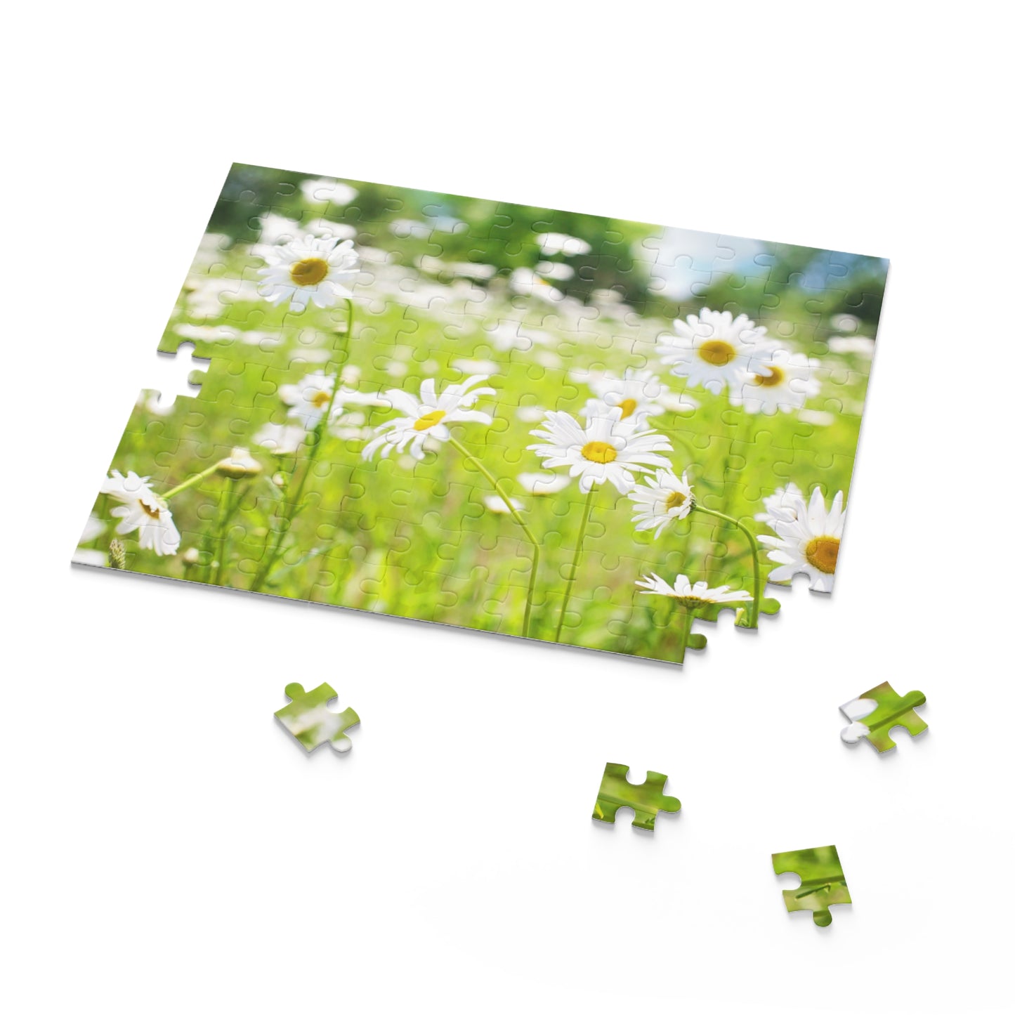 Daisy Meadow Puzzle - 120, 252, 500-Piece Options
