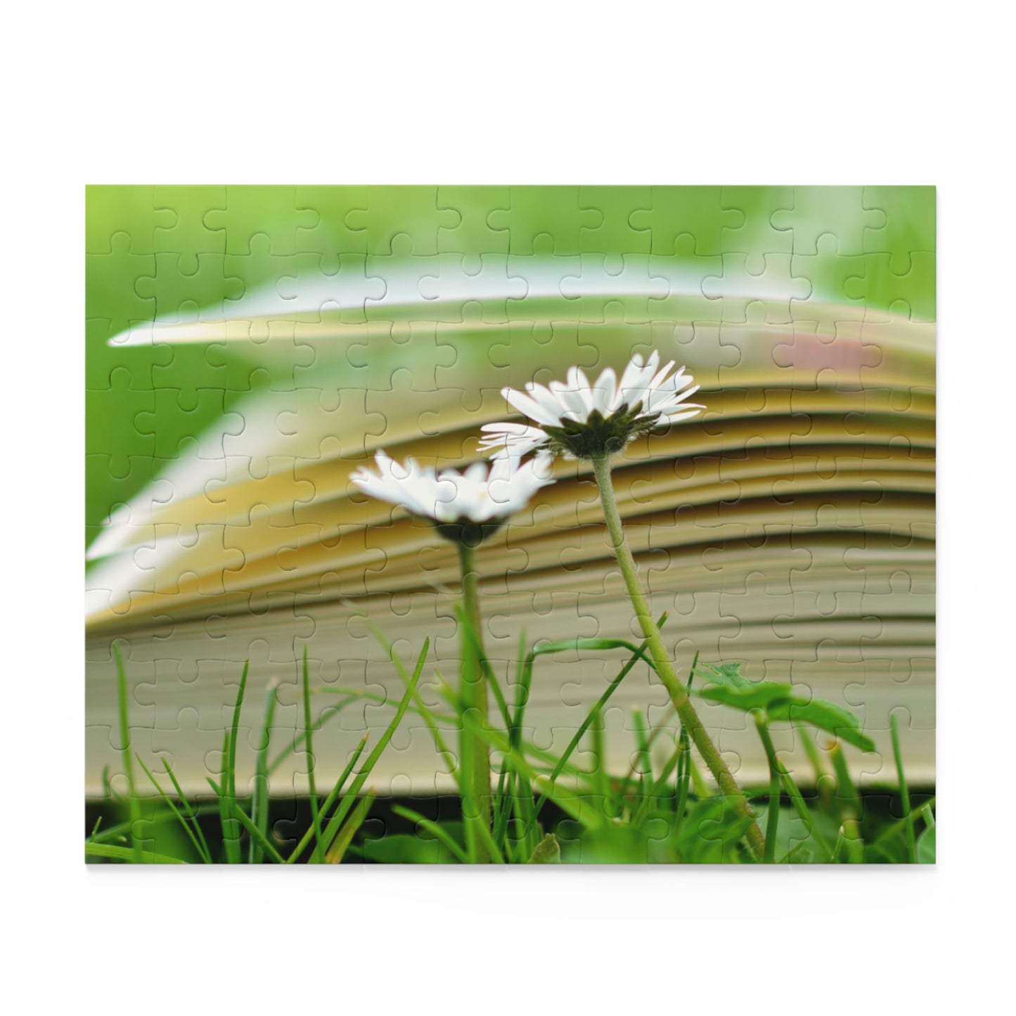 Nature-Inspired 500-Piece Puzzle – Cozy Reading Vibes with Daisies