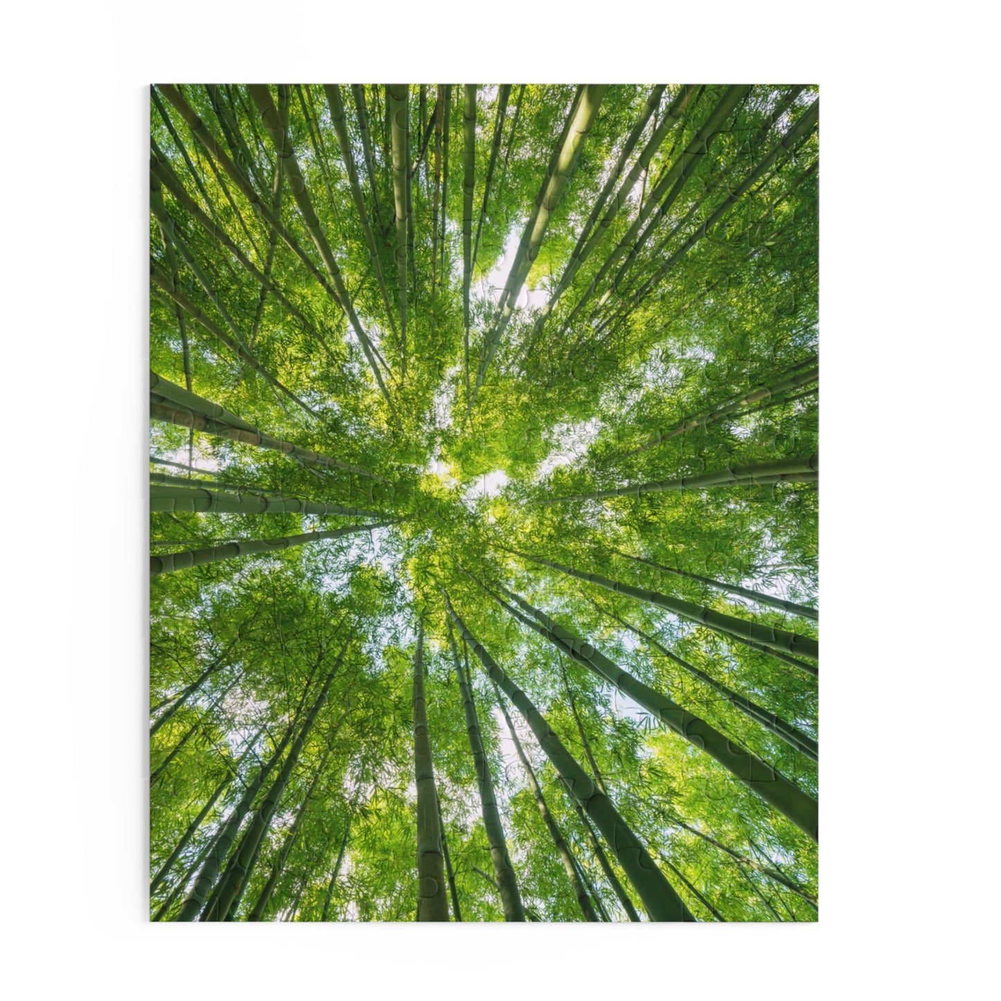 Tranquil Bamboo Forest Puzzle - 120/252/500-Piece Options