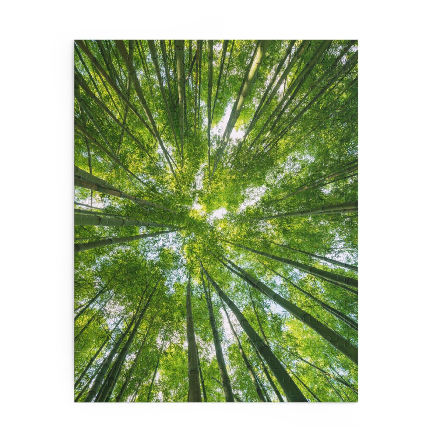 Tranquil Bamboo Forest Puzzle - 120/252/500-Piece Options