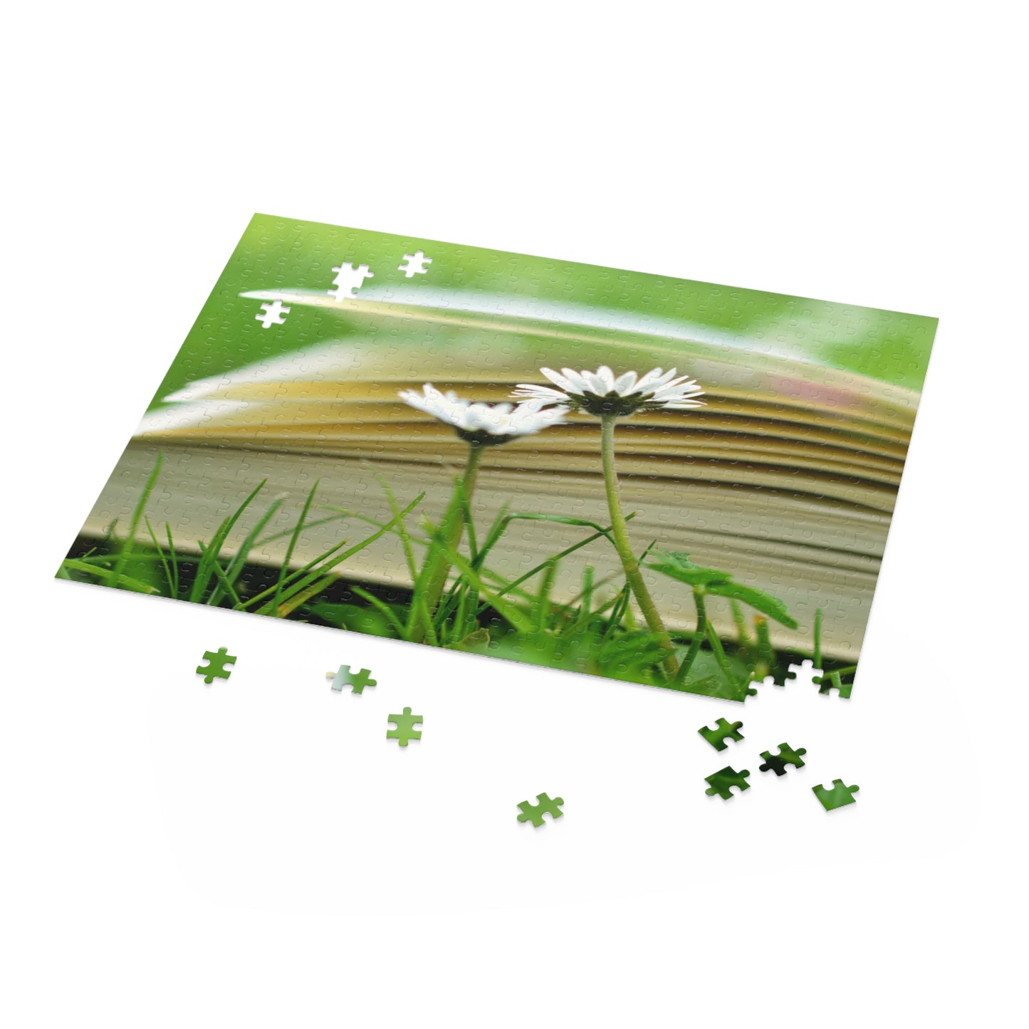 Nature-Inspired 500-Piece Puzzle – Cozy Reading Vibes with Daisies
