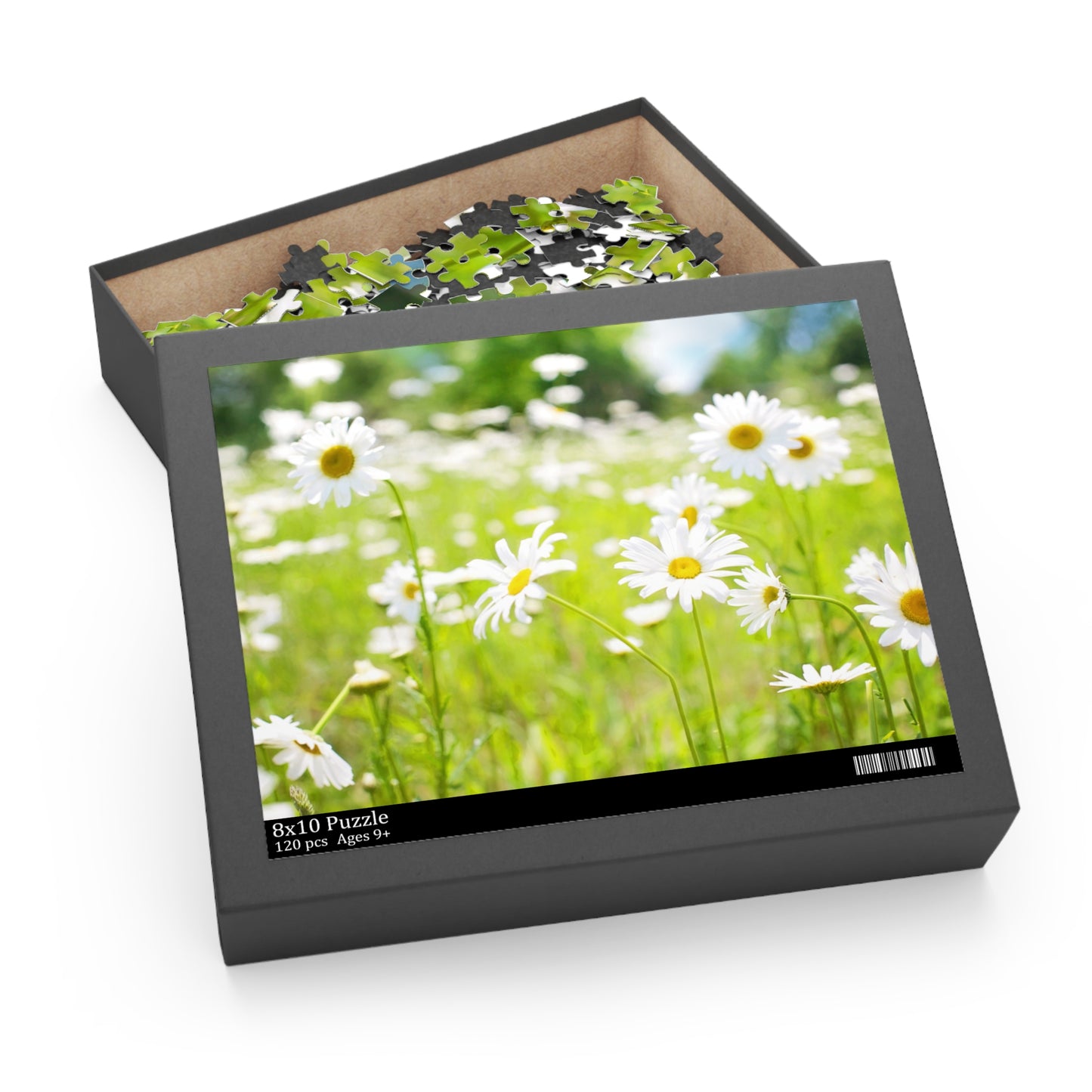 Daisy Meadow Puzzle - 120, 252, 500-Piece Options