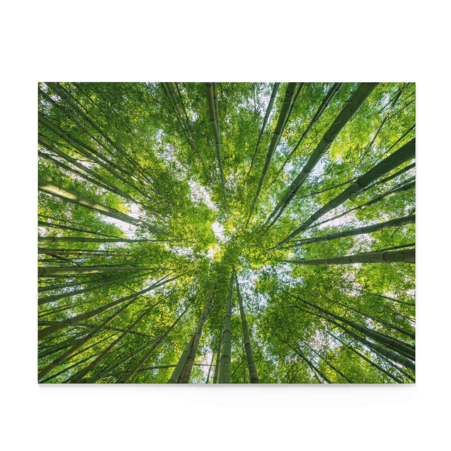 Tranquil Bamboo Forest Puzzle - 120/252/500-Piece Options