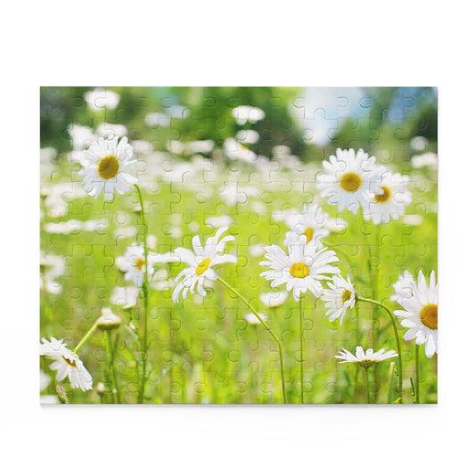 Daisy Meadow Puzzle - 120, 252, 500-Piece Options