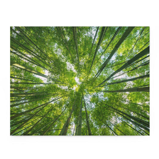 Tranquil Bamboo Forest Puzzle - 120/252/500-Piece Options
